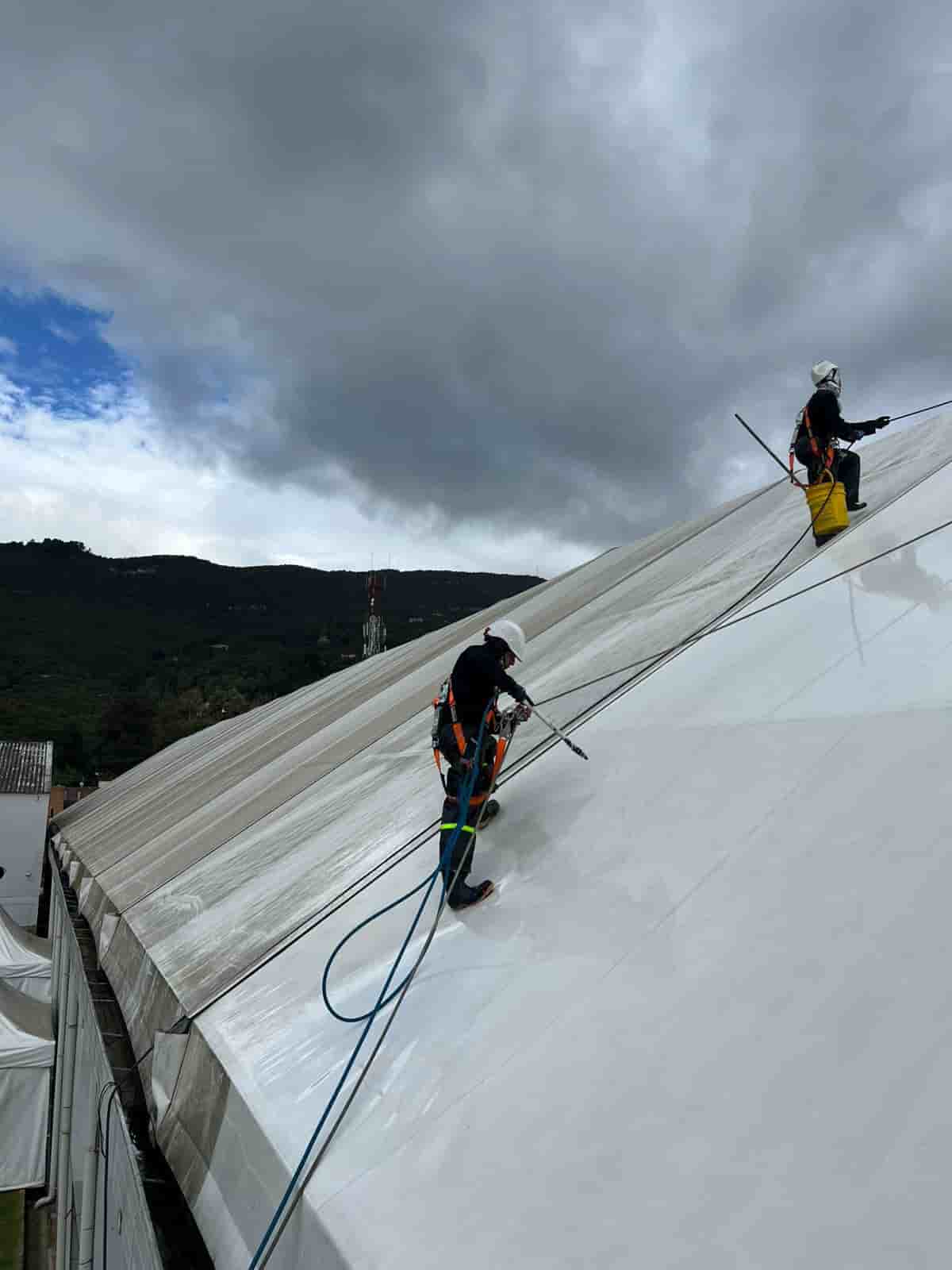 Lavado de carpas Bogota